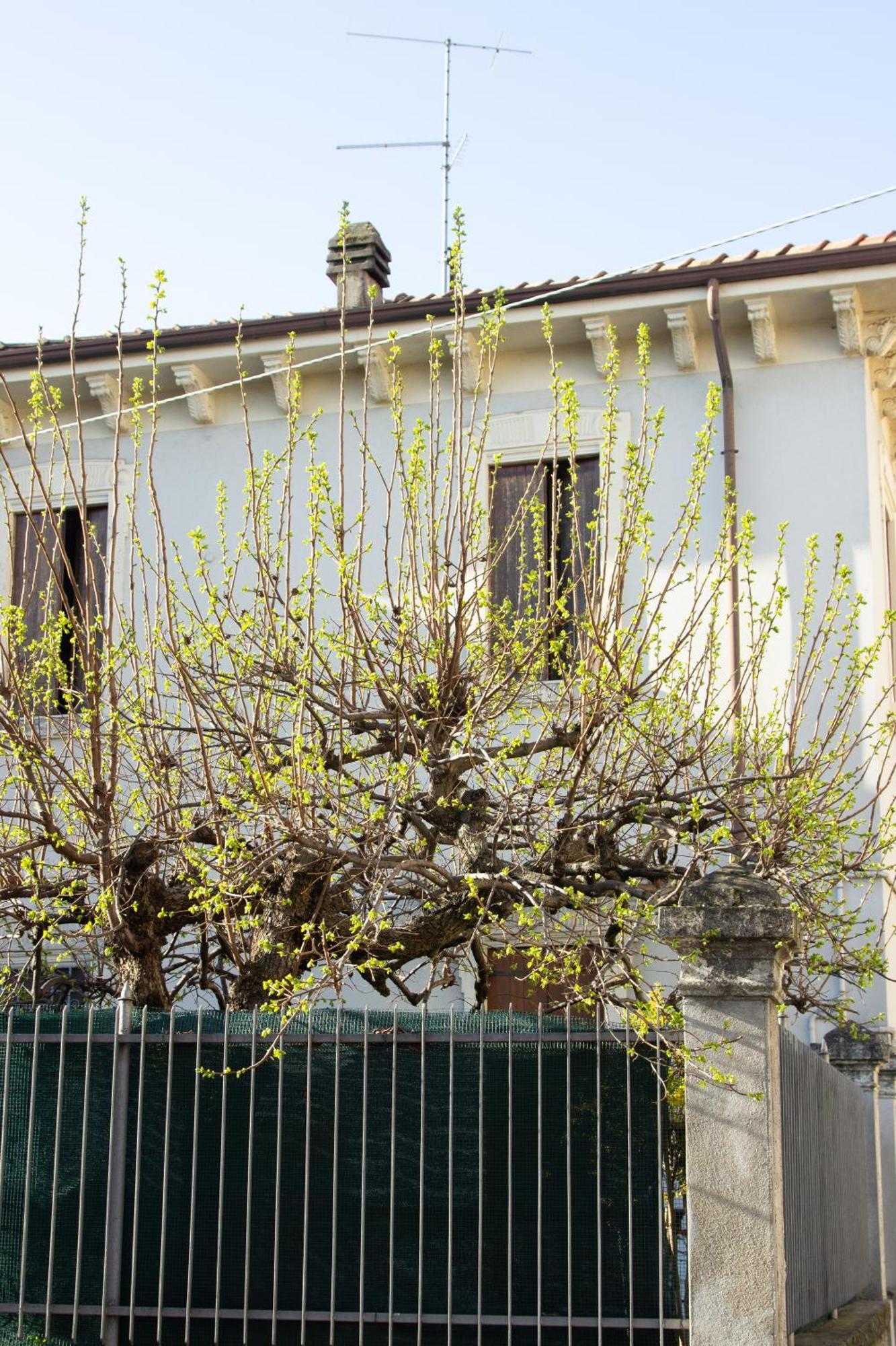 Verona Nest Exterior photo
