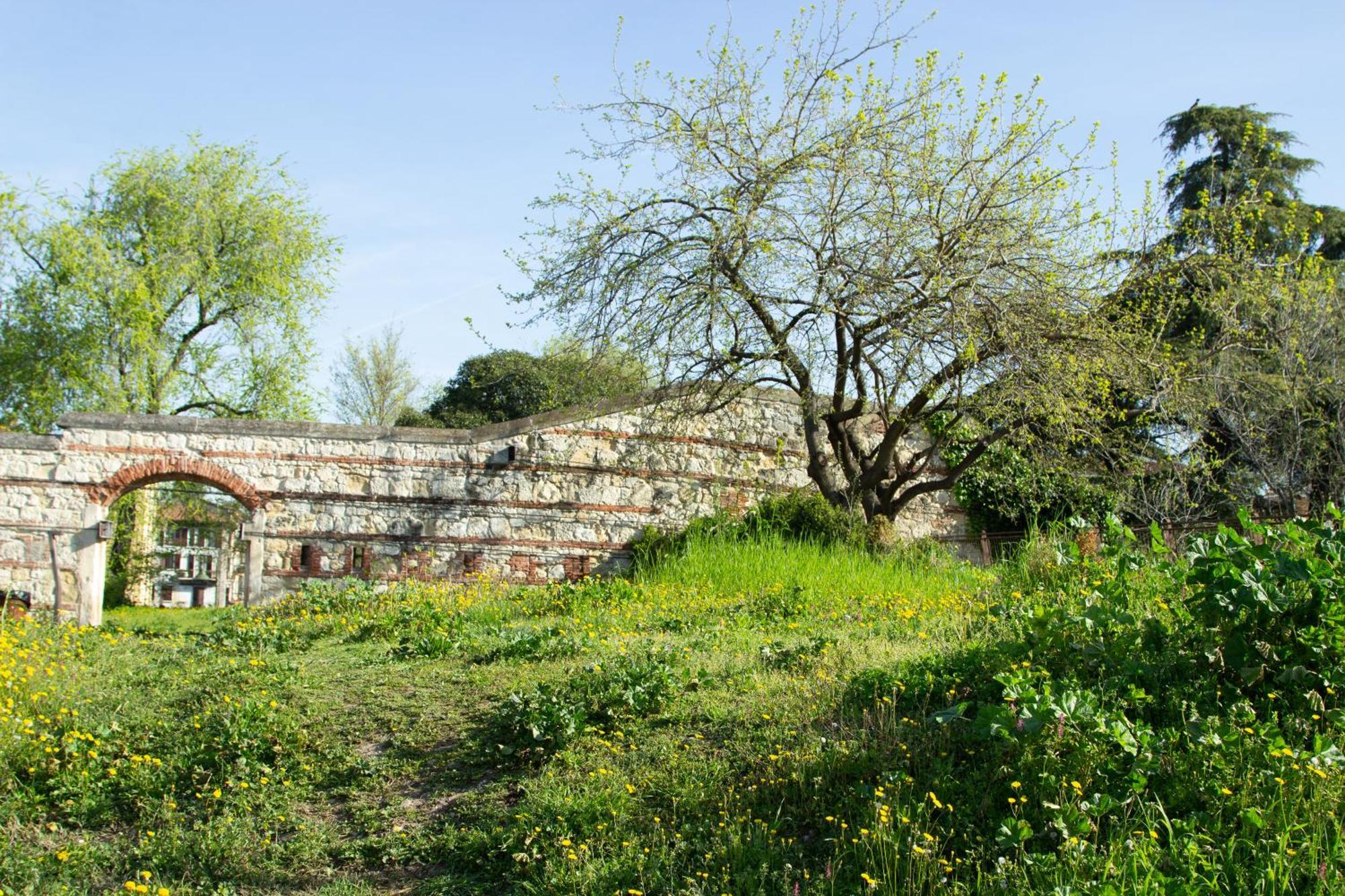 Verona Nest Exterior photo
